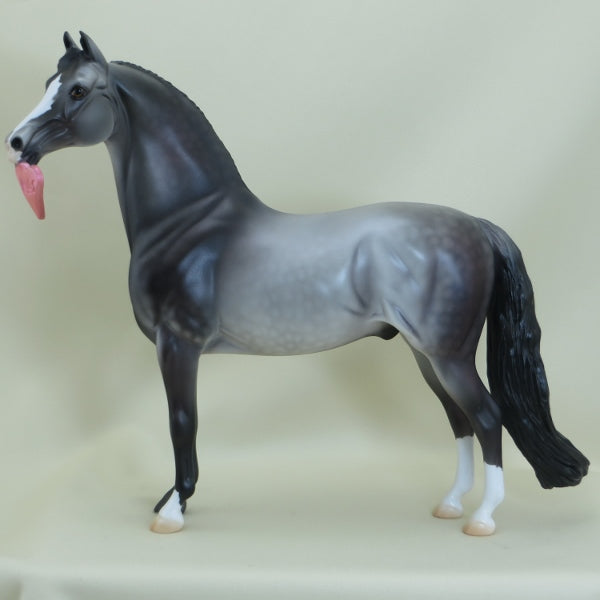 MACQUAID - OOAK Dapple Rose Gray Morgan with "Hugs" Heart - 3/15