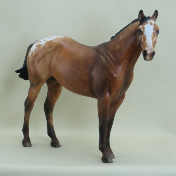 BUDS - OOAK Bay Appaloosa with Ratty Mane 3/15