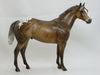 BURBURRY - Dapple Sooty Palomino Appaloosa LE15 1/15