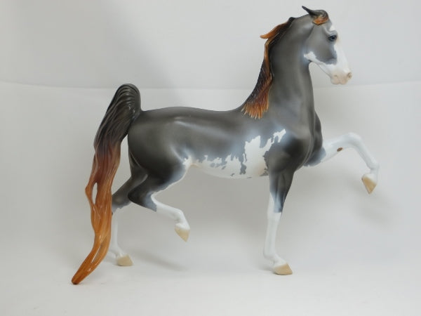 GRAND BUDAPEST - OOAK Chestnut Going Gray Sabino Pinned Ear Saddlebred 2/15