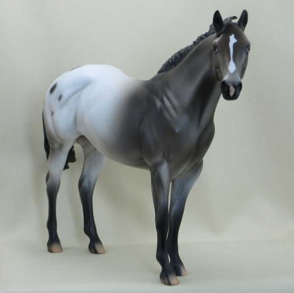 NOVEMBER WIND - OOAK Appaloosa Stock Horse 3/15