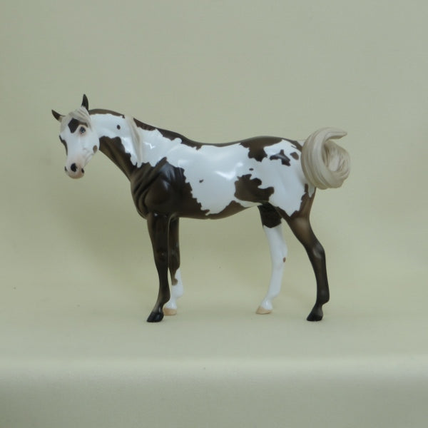 HONEY NUT - OOAK Chocolate Pinto Arabian Pebbles with Turned Head 4/15