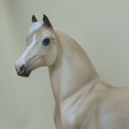 APPLE BITS - OOAK Dapple Palomino Morgan Model Horse with Ribbons - 4/15