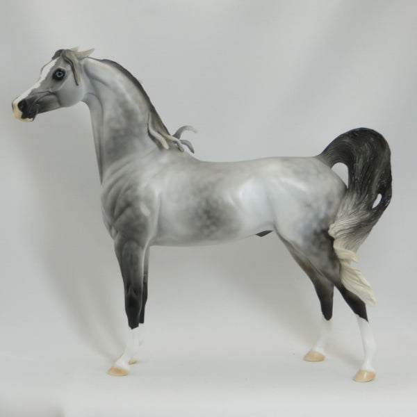 SANTA FE EXPRESS - OOAK Dapple Gray Pinned Ear Arabian 5/15