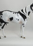 MAKAWEE EARTH MAIDEN - OOAK Mapped Black & White Paint Mare 5/15