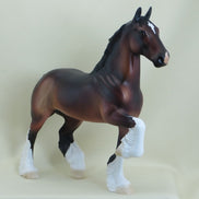 ANGUS - OOAK Dapple Bay Trotting Drafter Model Horse - 3/15