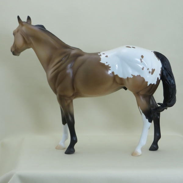 O&#39;COFFEY - OOAK Buckskin Appaloosa Stock Horse - 3/15