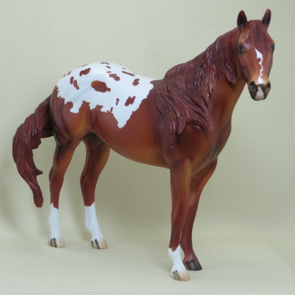 CLUE - OOAK Chestnut Appaloosa Stock Horse - 4/15