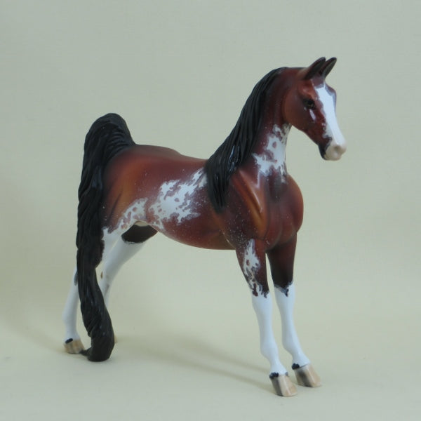 FOSSTON - OOAK Bay Sabino Pinto Saddlebred Pebbles 4/15