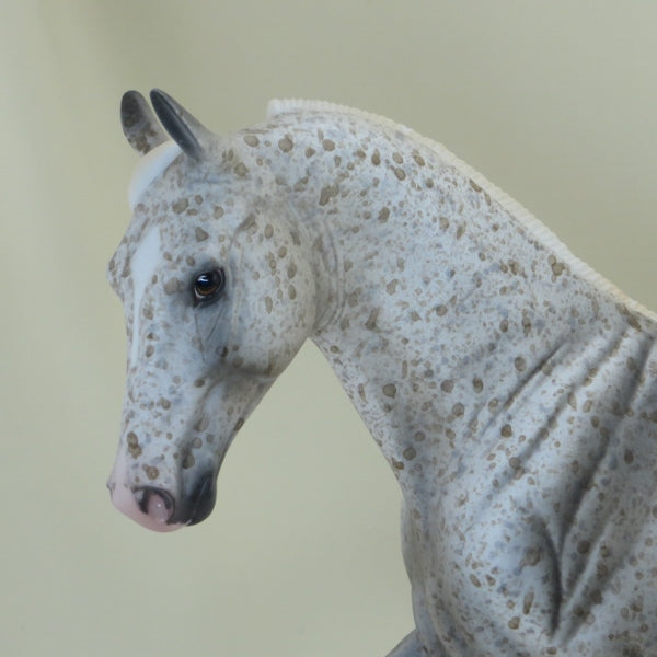 KOKO KRUNCH - OOAK Bay Appaloosa Tennessee Walker Model Horse - 4/15