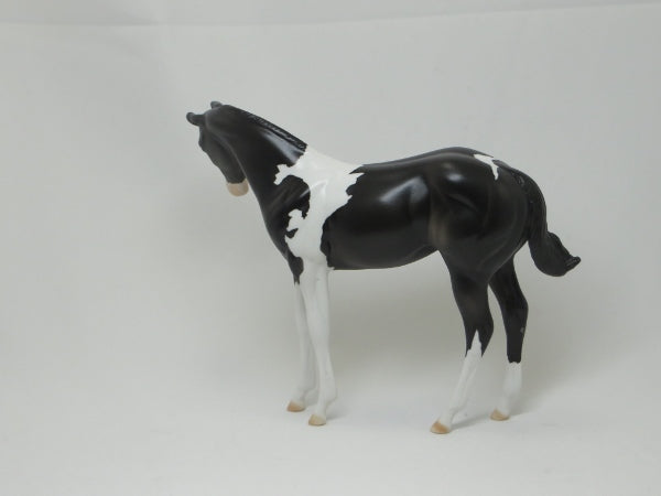 YING- OOAK Black Paint Weanling 2/15