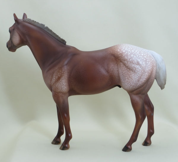 SKY DIVER - OOAK Chestnut Appaloosa with Mottling - 3/15