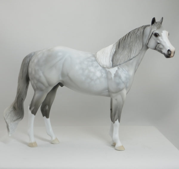 MOTHER NATURE'S SON - OOAK Star Dapple Gray Paint Stock Horse 5/15