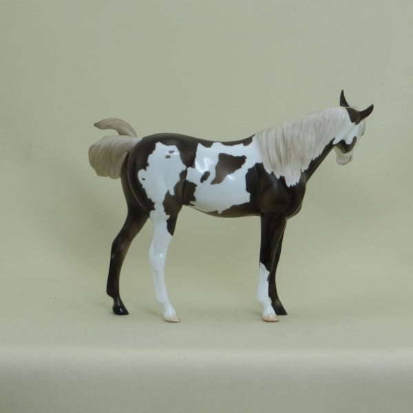 HONEY NUT - OOAK Chocolate Pinto Arabian Pebbles with Turned Head 4/15