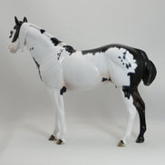 MAKAWEE EARTH MAIDEN - OOAK Mapped Black & White Paint Mare 5/15