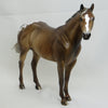 BURBURRY - Dapple Sooty Palomino Appaloosa LE15 1/15