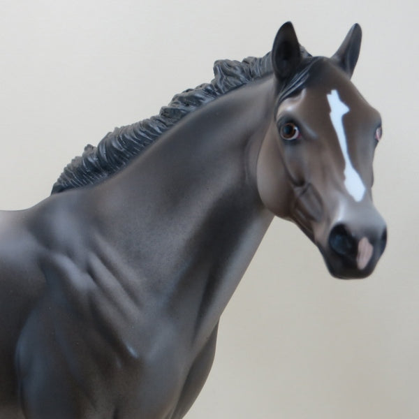 NOVEMBER WIND - OOAK Appaloosa Stock Horse 3/15