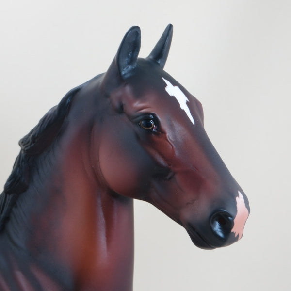 ANGUS - OOAK Dapple Bay Trotting Drafter Model Horse - 3/15