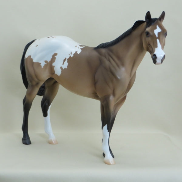 O&#39;COFFEY - OOAK Buckskin Appaloosa Stock Horse - 3/15