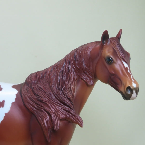 CLUE - OOAK Chestnut Appaloosa Stock Horse - 4/15