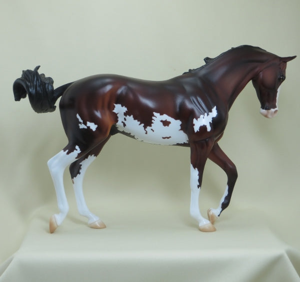 PICTIONARY - OOAK Bay Tucked Head Pinto Thoroughbred 4/15