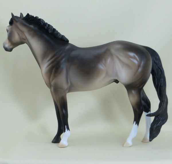 MOYNIHAN - OOAK Dapple Sooty Buckskin Stock Horse 3/15