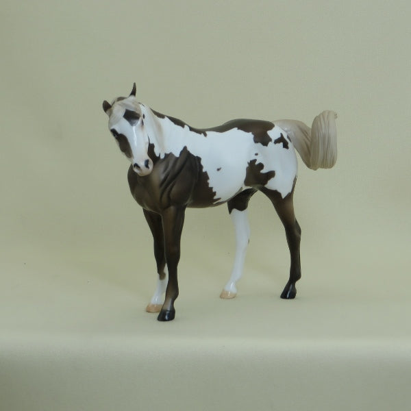 HONEY NUT - OOAK Chocolate Pinto Arabian Pebbles with Turned Head 4/15