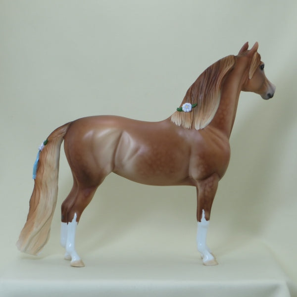 CALIFORNIA RAISIN - OOAK Dapple Chestnut Morgan Model Horse with Ribbons - 4/15