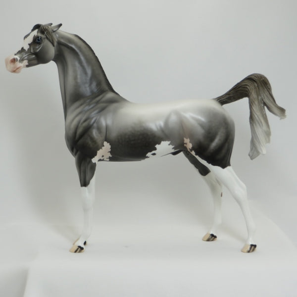 KINGSBURY - OOAK Dapple Gray Pinto Pinned Ear Arabian 41/5