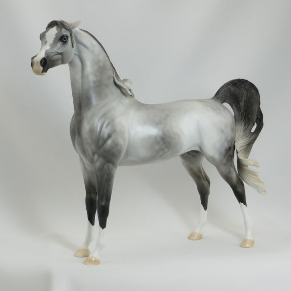 SANTA FE EXPRESS - OOAK Dapple Gray Pinned Ear Arabian 5/15