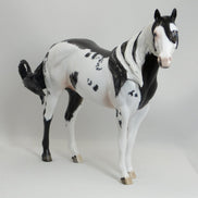 MAKAWEE EARTH MAIDEN - OOAK Mapped Black & White Paint Mare 5/15