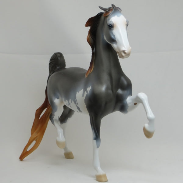 GRAND BUDAPEST - OOAK Chestnut Going Gray Sabino Pinned Ear Saddlebred 2/15
