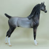 GALLAGHER - OOAK Dapple Gray Arabian 3/15