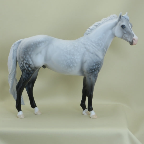 NOLAN - OOAK Star Dapple Gray Stock Horse 3/15