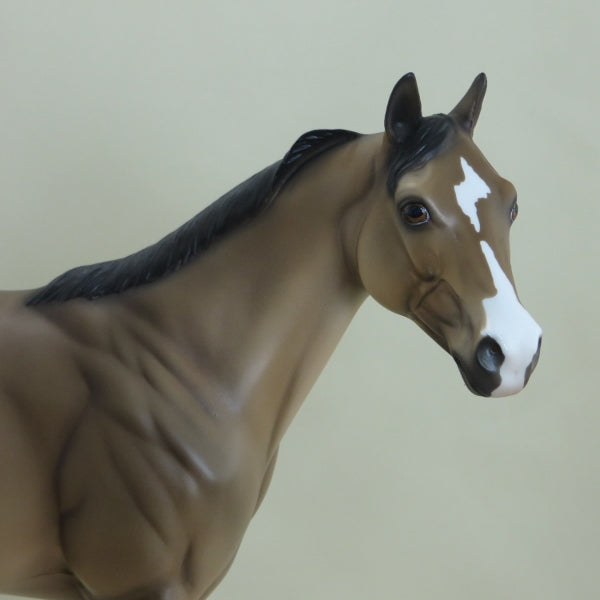 O&#39;COFFEY - OOAK Buckskin Appaloosa Stock Horse - 3/15