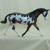 CRIBBAGE - OOAK Seal Bay Overo  Paint Pony Pegged 4/15