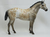 INTO THE WOODS - OOAK Buckskin Appaloosa Stock Horse 2/15