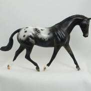 JOJO - OOAK Blanket Appaloosa Model Horse Pony - 5/15