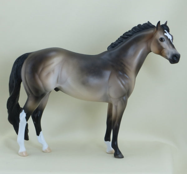 MOYNIHAN - OOAK Dapple Sooty Buckskin Stock Horse 3/15