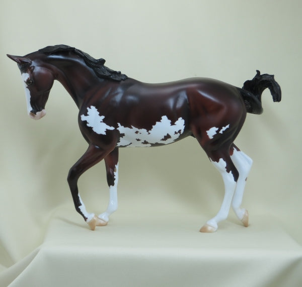 PICTIONARY - OOAK Bay Tucked Head Pinto Thoroughbred 4/15