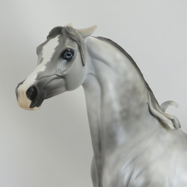 SANTA FE EXPRESS - OOAK Dapple Gray Pinned Ear Arabian 5/15