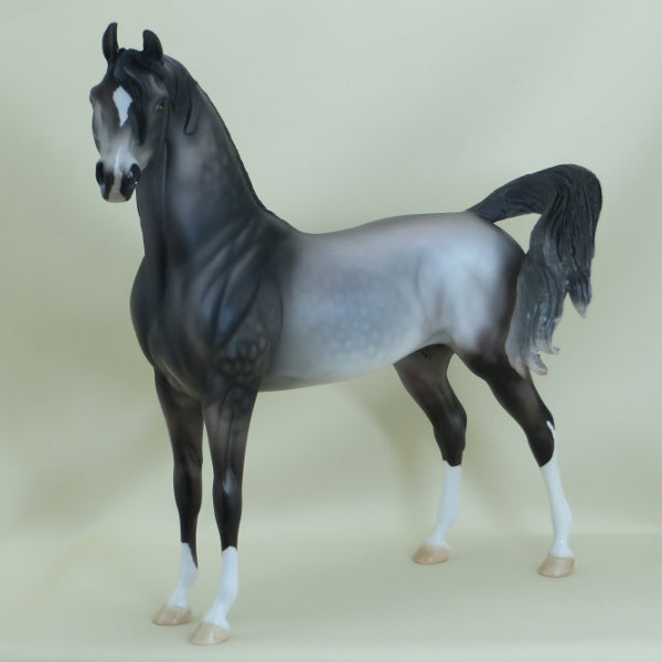 GALLAGHER - OOAK Dapple Gray Arabian 3/15