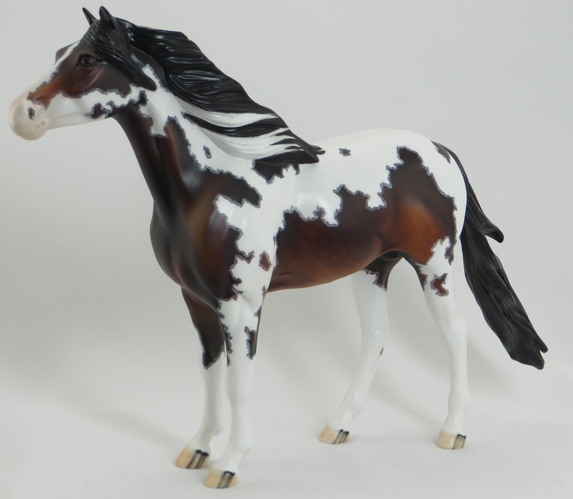 GLADSTONE - Bay Pinto Mustang Model Horse with Mapping - LE15 - 5/15