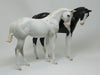 YANG - OOAK White Paint Weanling 2/15