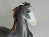 GRAND BUDAPEST - OOAK Chestnut Going Gray Sabino Pinned Ear Saddlebred 2/15