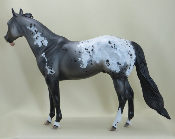 MR. CRUMP DON&#39;T LIKE IT - OOAK Appaloosa Stock Horse - 3/15