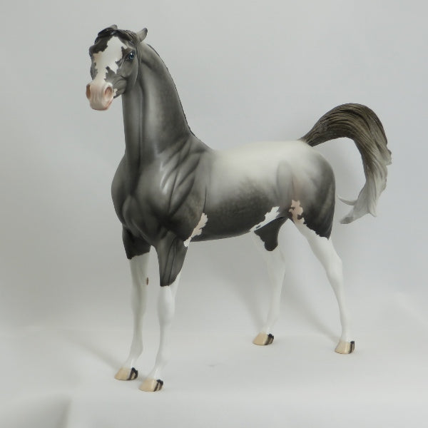 KINGSBURY - OOAK Dapple Gray Pinto Pinned Ear Arabian 41/5