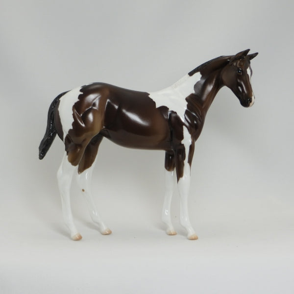 AN NAPOLEASE - OOAK Bay Paint Weanling Model Horse - 5/15