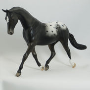 JOJO - OOAK Blanket Appaloosa Model Horse Pony - 5/15