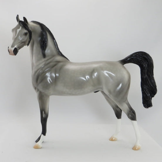 BIRMAN - OOAK Dapple Gray Arabian 5/15